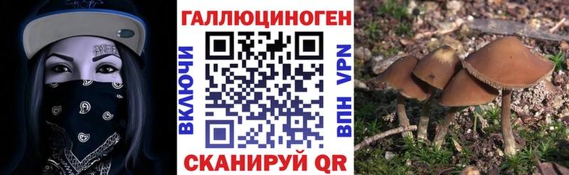Псилоцибиновые грибы Magic Shrooms  mega зеркало  Полярные Зори 
